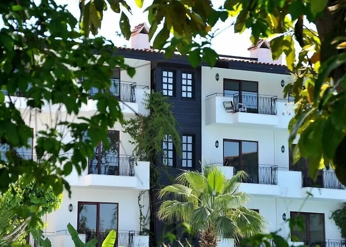 Lemas