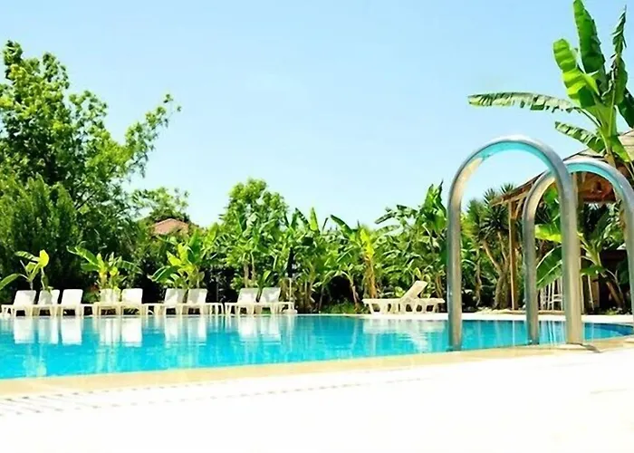 Lemas Side